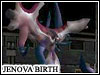 Final Fantasy VII Boss Jenova Birth